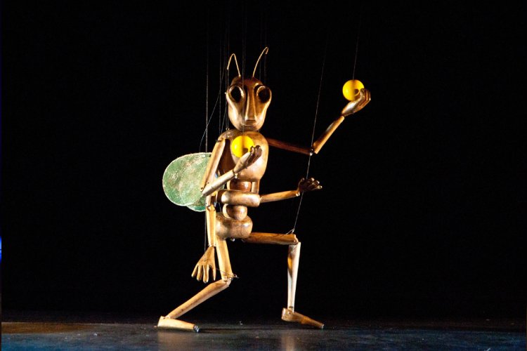Insect Circus Cia. String Theatre
