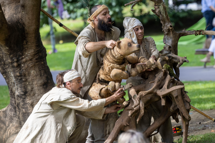 La osa estelar